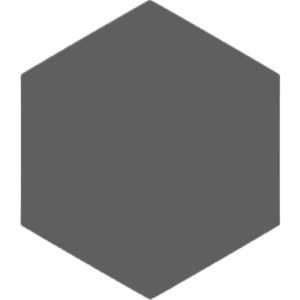 Winkelmans Anthracite hexagonal Victorian Tile