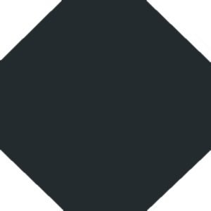 Winkelmans Black Hexagonal Victorian Tile