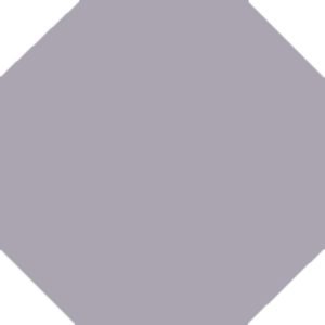 Winkelmans Parma Octagonal Victorian Tile