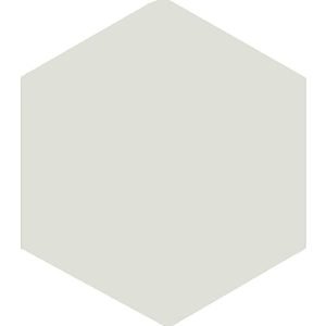 Winkelmans White Hexagonal Victorian Tile