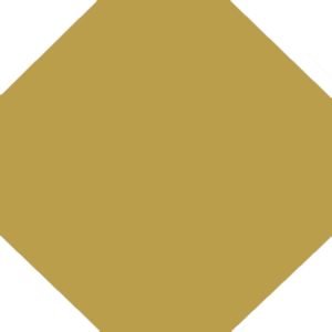 Winkelmans Yellow Hexagonal Victorian Tile