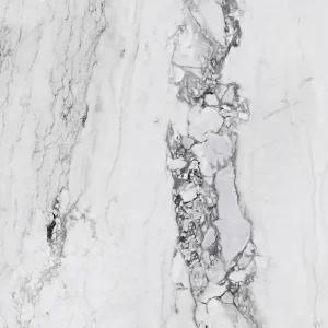 St Maximum _Medicea-full-lappato-single-tile