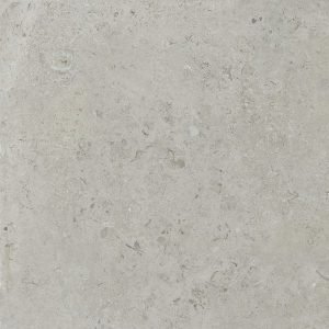 Coral Stone Perla Light Grey 900 x 900 Porcelain